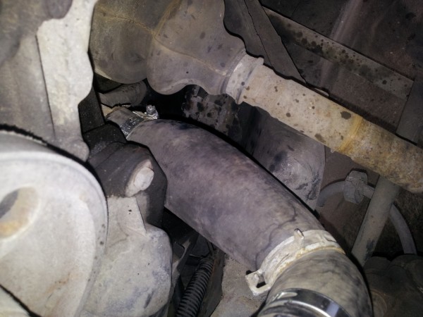 20130715_093831.jpg (2.53 MiB) Przejrzano 6988 razy tak węże puchły