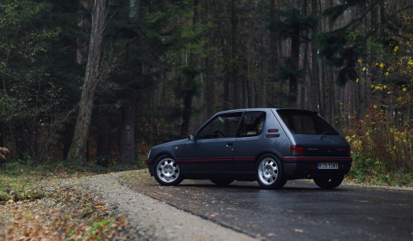 205 GTI Gris Magnum 1992_1.jpeg