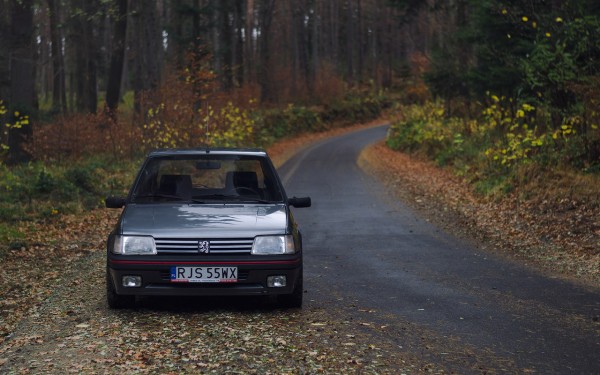 205 GTI Gris Magnum 1992_2.jpeg