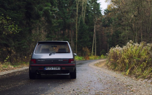 205 GTI Gris Magnum 1992_18.jpeg