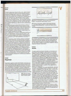 ttrfytggtu 001.jpg