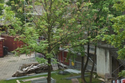 Obraz 676.jpg