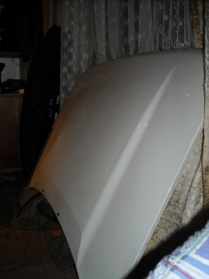 DSCN0532.jpg
