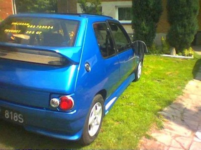 naniek29Peugeot_monster.jpg