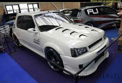 pics-max-7900-299994-peugeot-205.jpg