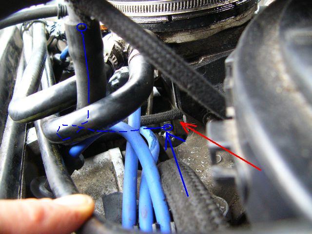 3peugeot.jpg