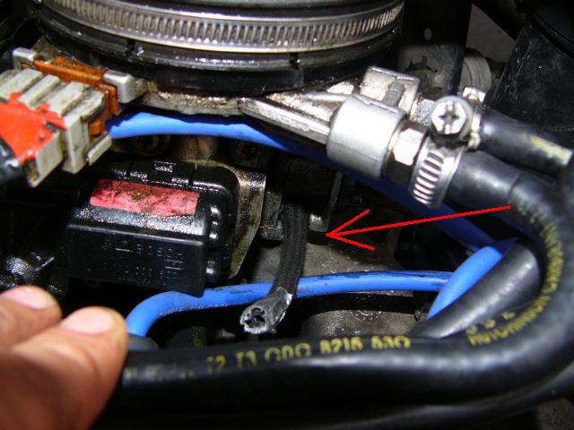 1peugeot.jpg