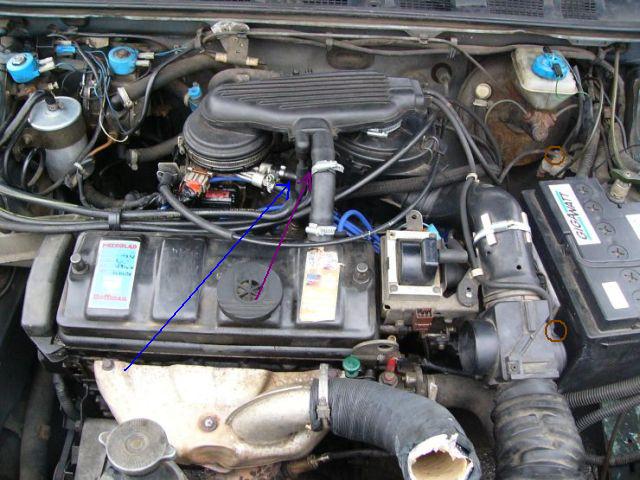 1_596.jpg
