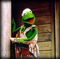kermit_mfs.jpg