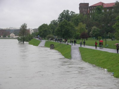 Obraz 679.jpg