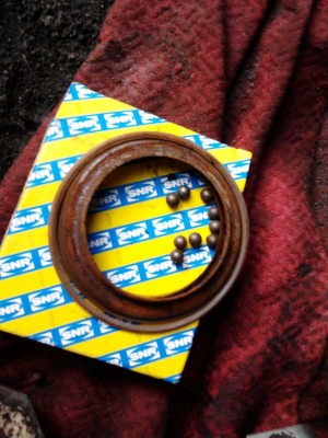 Zdjęcie0223.jpg