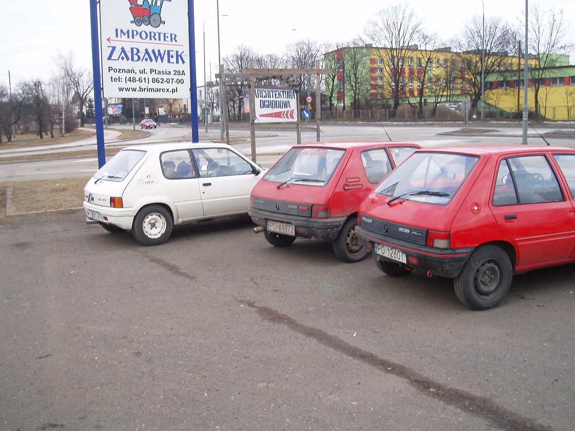 zlot4.jpg