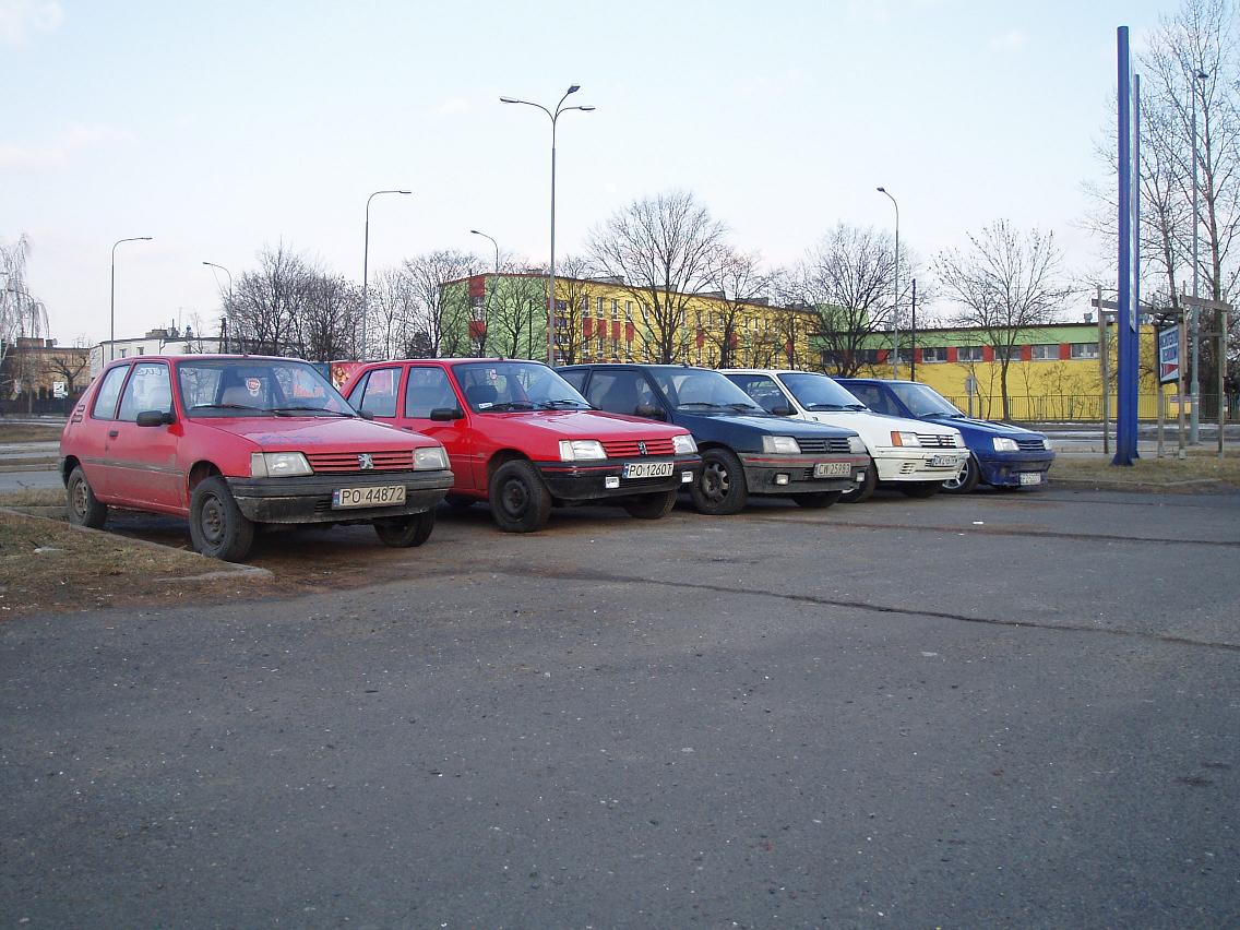 zlot8.jpg