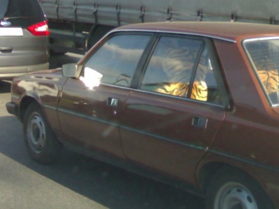 201105131053.jpg