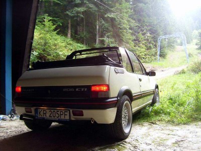 Resize of 100_8126.JPG
