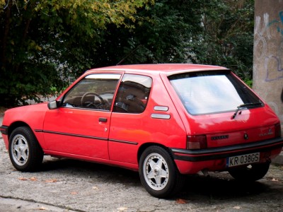 Obraz 011.jpg