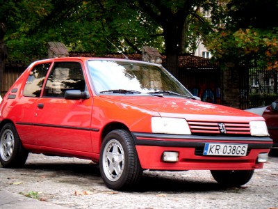 Obraz 007.jpg