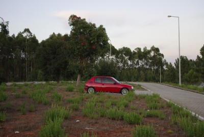 _IGP4229.JPG