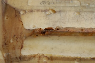 DSC_1767.JPG
