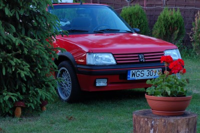 DSC_1795.JPG
