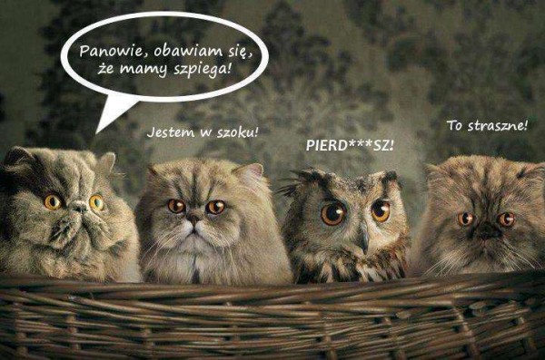 szpieg.jpg