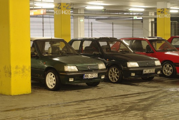_IGP4161s.JPG