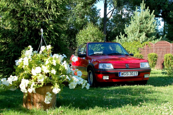 Wycieczka do Kutna do najstarszej osoby w rodzinie   ;-)