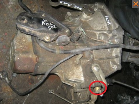 p205i.jpg