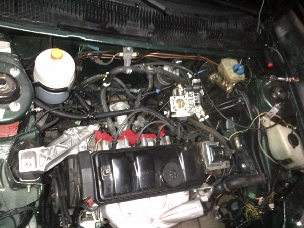 IMG-20131107-00463.jpg