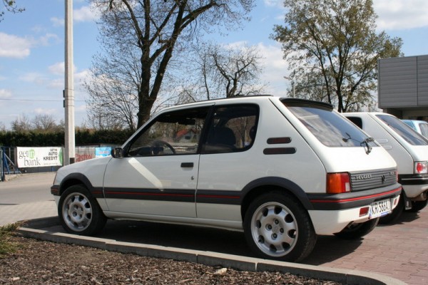 obraz1132a.jpg