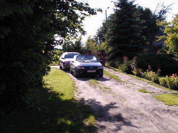 WP_000409.jpg