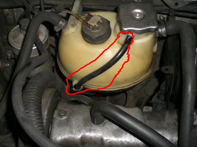 CIMG3010.JPG