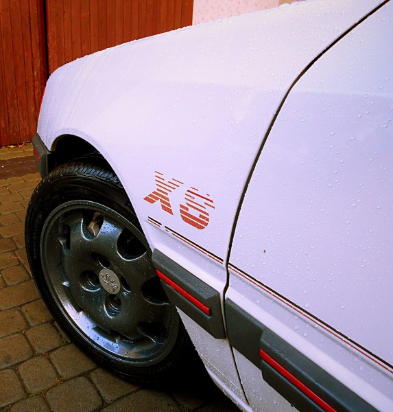 DSCN0689_m.jpg