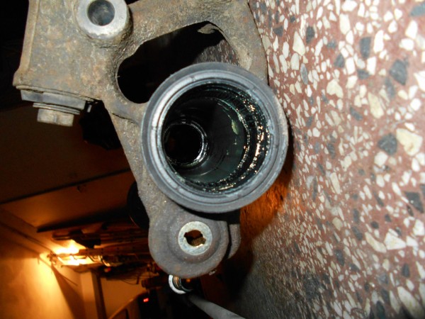 DSCN1862.jpg
