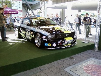 mustang2.JPG