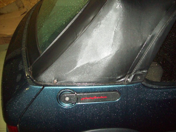 100_5038.JPG