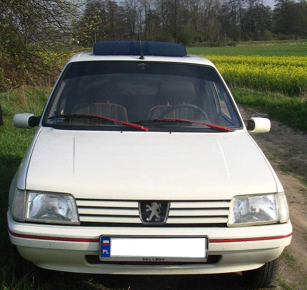 przodnet.gif