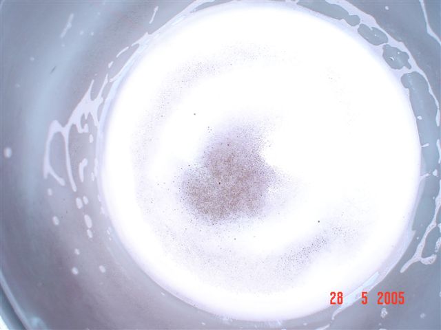DSC02409.JPG