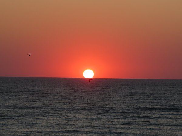 IMG_6181.JPG