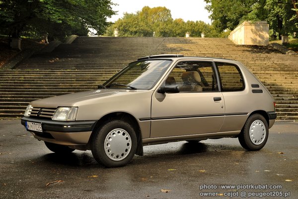 Peugeot-205-1.9-Automatic4.jpg