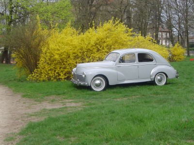 Peugeot 203  5.jpg