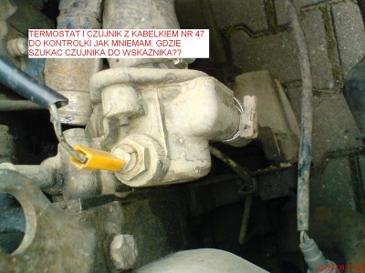 TERMOSTAT 1.JPG